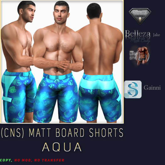 (CNS) Matt Board Shorts Aqua  (Add)