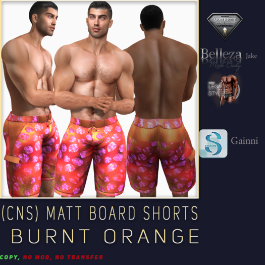 (CNS) Matt Board Shorts Burnt Orange (Add)