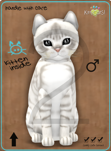 KittyCatS Box - 9T-M Australian Mist - Snow / Normal - Porcelain - Sassy