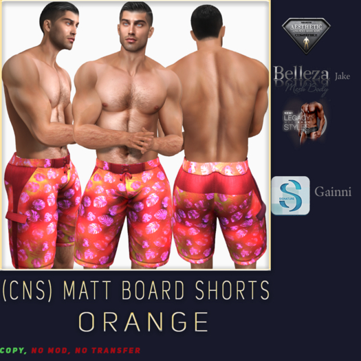 (CNS) Matt Board Shorts Orange (Add)