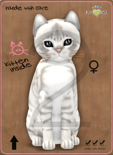 KittyCatS Box - 9T-F Australian Mist - Snow / Normal - Twinkle - Fussy