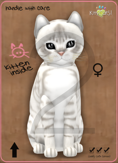 KittyCatS Box - 9T-F Australian Mist - Snow / Normal - Twinkle - Frisky