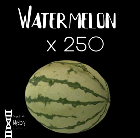 MyStory Watermelon x 250