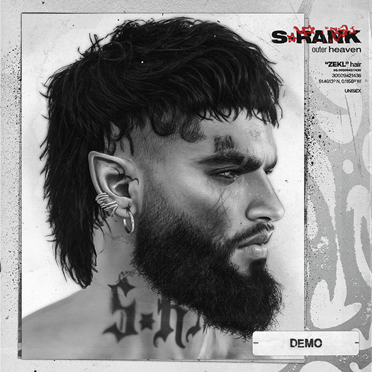 *DEMO* S-RANK "ZEKL" HAIR 