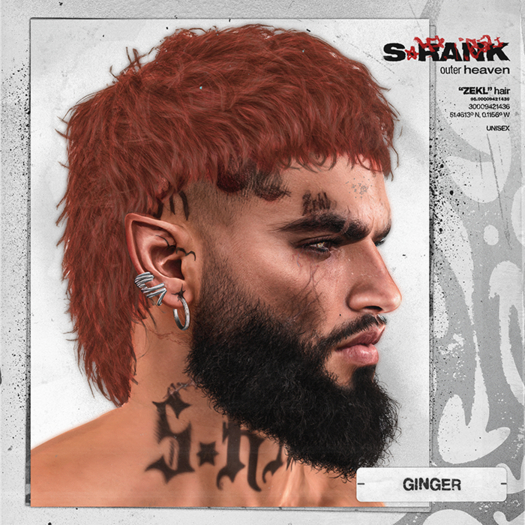 S-RANK "ZEKL" HAIR / GINGER 