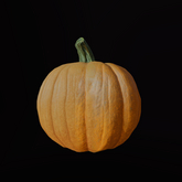 {S} Full Perm Pumpkin
