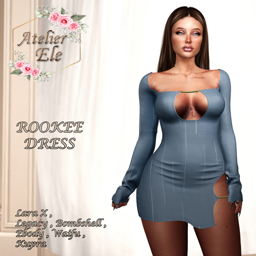 {AE} ROOKEE DRESS