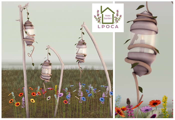 LpOca Driftwood Lanterns