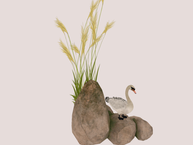 White Swan :))) Decor