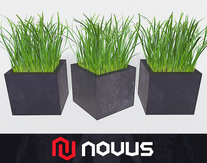 Decorative Grass - Plant {Mesh}