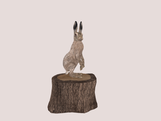 CUTE HARE