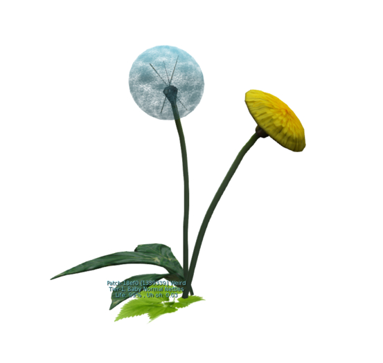 {Papillon} Plant Patch Nettles Weird Dandelion small
