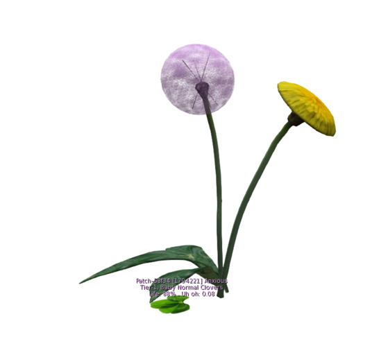 {Papillon} Plant Patch Anxious Clovers Dandelion small