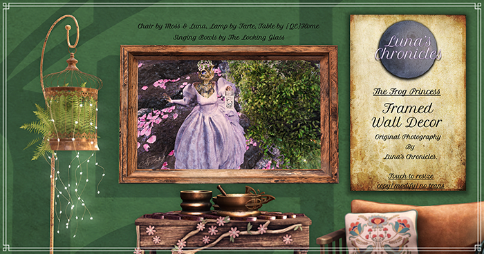 [Luna's Chronicles] The Frog Princess