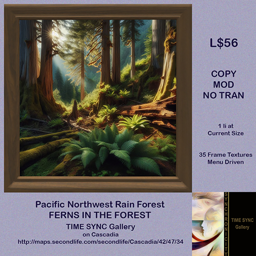 Ferns in the Forest
