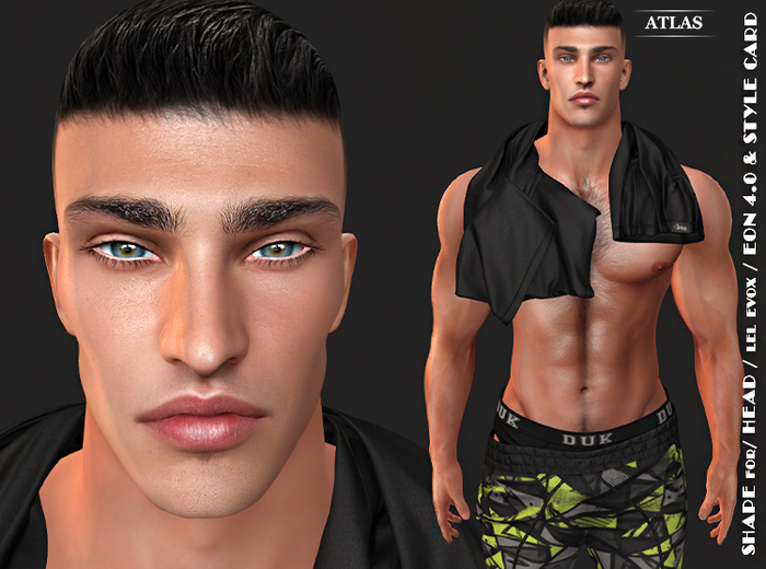 *ATLAS* SHAPE REIN for LeL EON Head 4.0 & STYLE CARD