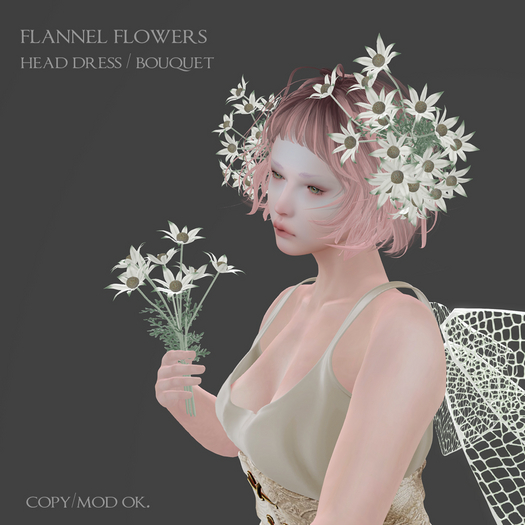 *N*FlannelFlowers