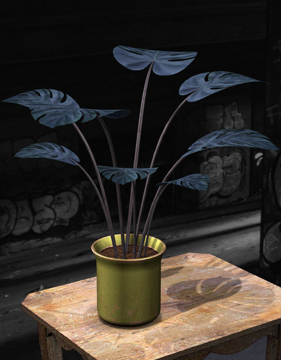 {Unflat Stuff} Monstera Blue