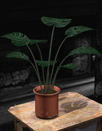 {Unflat Stuff} Monstera Green