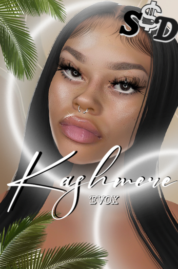 S$D ~KASHMERE EVOX 1
