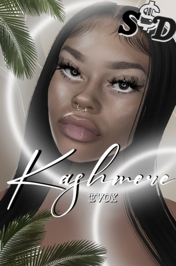 S$D ~KASHMERE EVOX DEMOS