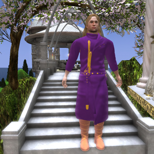 Medieval Renaissance Men's Outfit -Purple-Gold