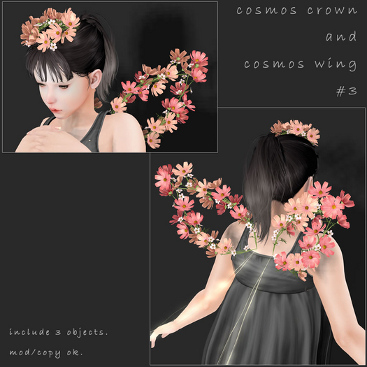 *N*Cosmos Crown & Wings #3