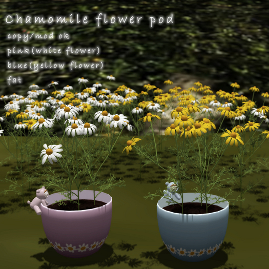 *N*Camomile Flower Pod Pink