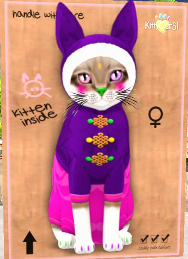 KittyCatS Box - New Born Kitten