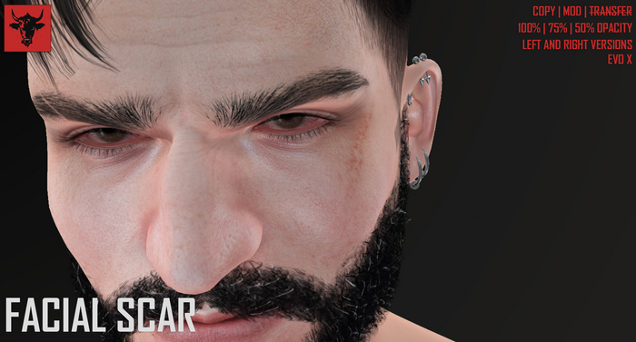 [Beefwitted] Facial Scar