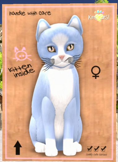 KittyCatS Box - New Born Kitten 9T