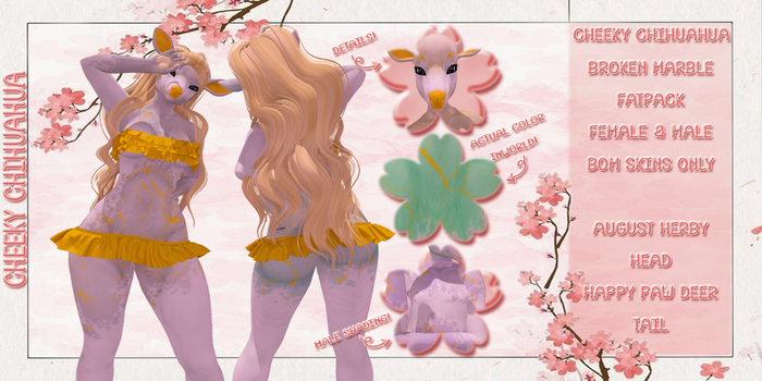 *CC* - Broken Marble - Fatpack 