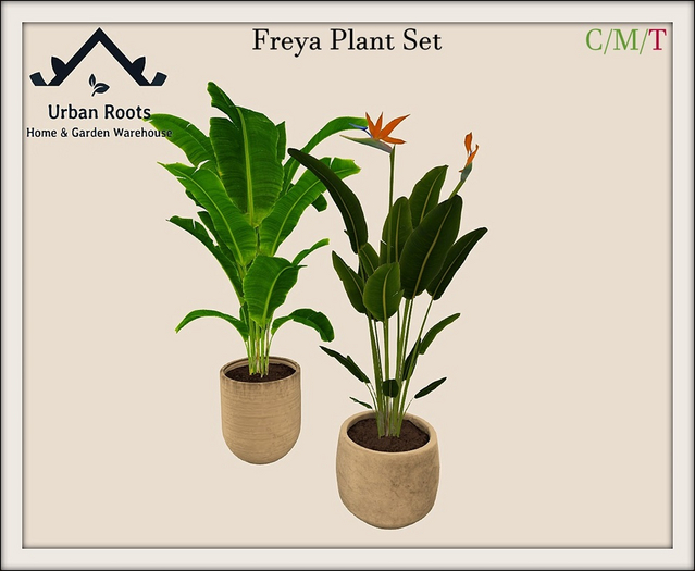 UR Freya Plant Set 
