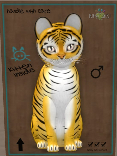 KittyCatS Box - Tiger! - Golden Ticket 9T-M