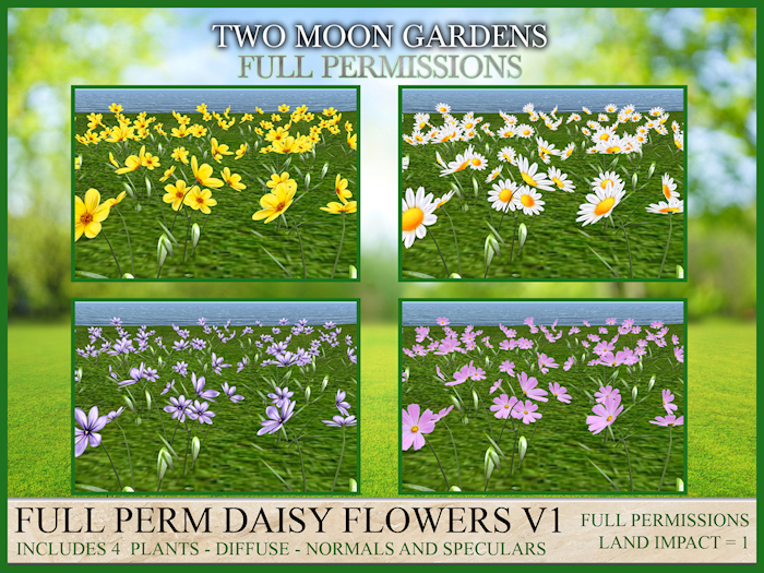 Full Perm Daisy Flowers