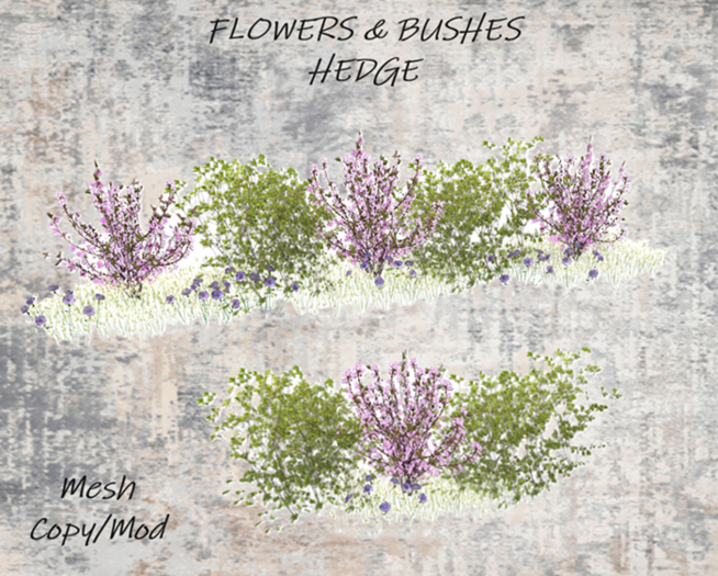 PLANTS - Flowers & bushes HEDGE