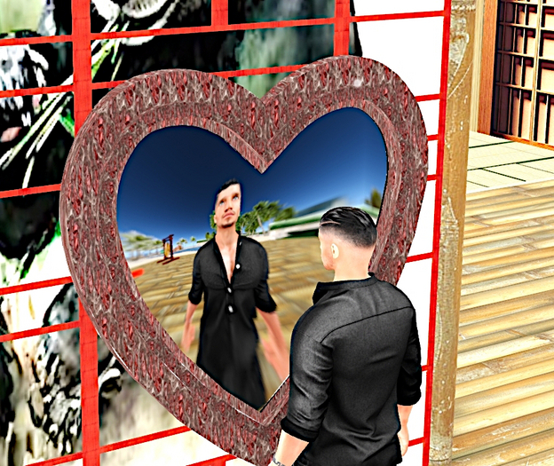 heart mirror