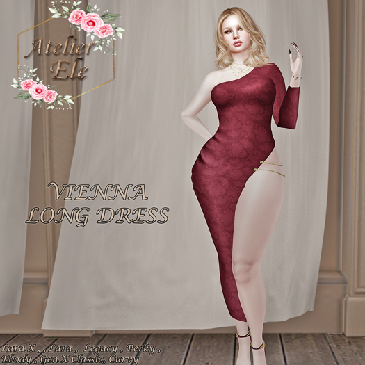 {AE} VIENNA LONG DRESS