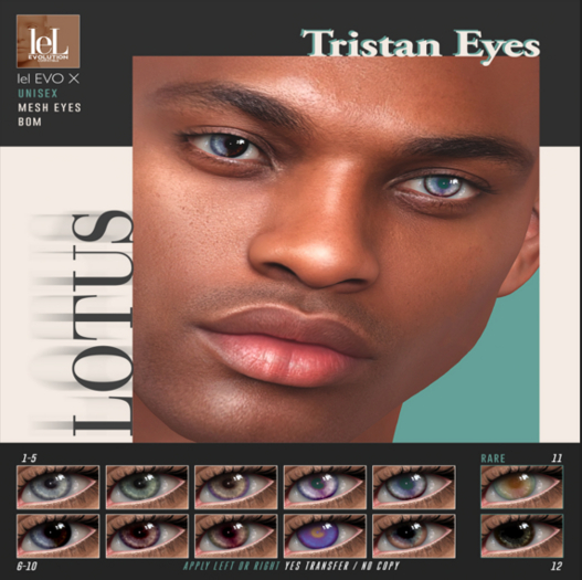 9. LOTUS. Tristan Eyes  [boxed]