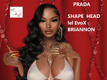 SHAPE PRADA HEAD BRIANNON LELUTKA ( REBORN Y KUPRA )