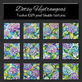 *Wallflowers* Dotsy Hydrangeas