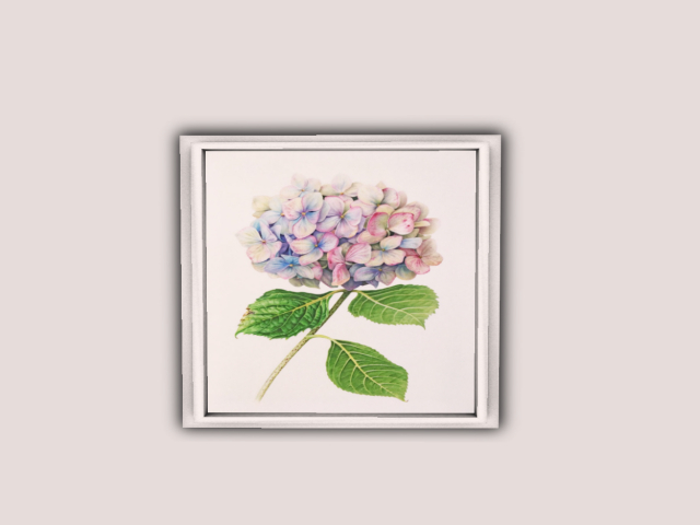Frame Hydrangea