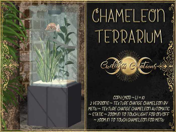 )O( GC: Chameleon Terrarium