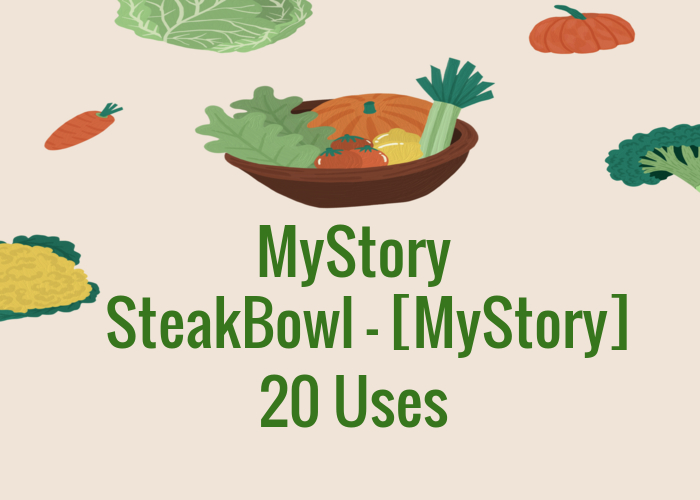 SteakBowl - [MyStory]