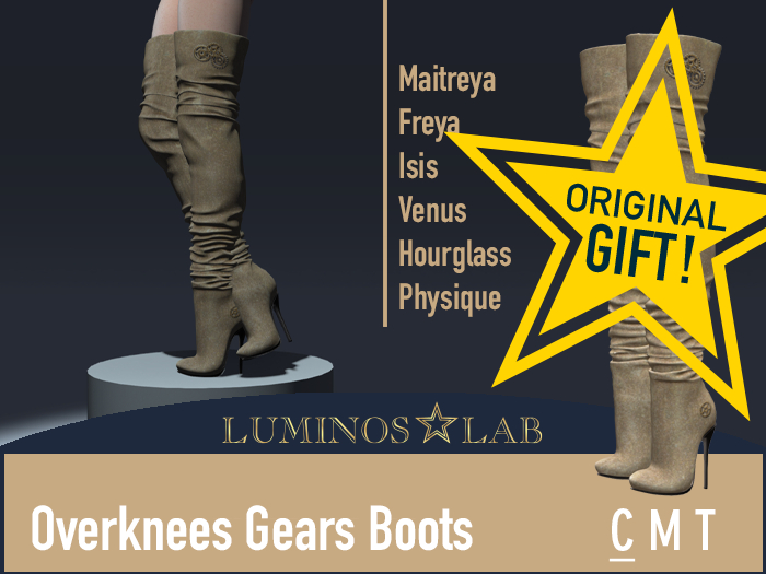 LL Overknees Gears Boots
