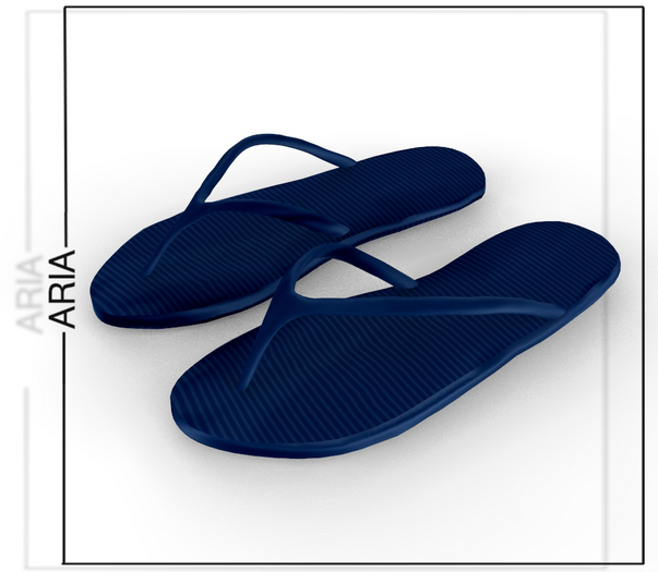 Navy Flip Flops Reborn
