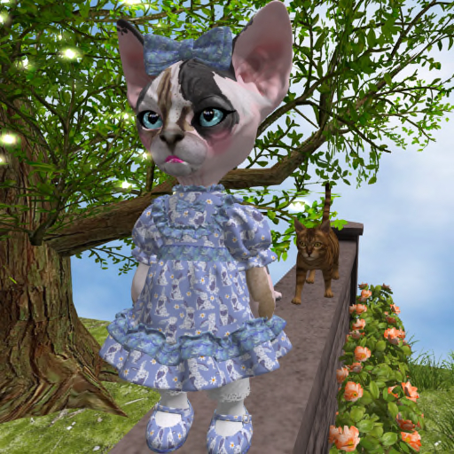 Shadowcat Bunny Dress & Maryjanes  - Blue 