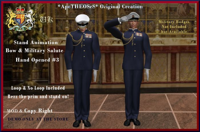 Stand Animation Bow & Military Salute #3