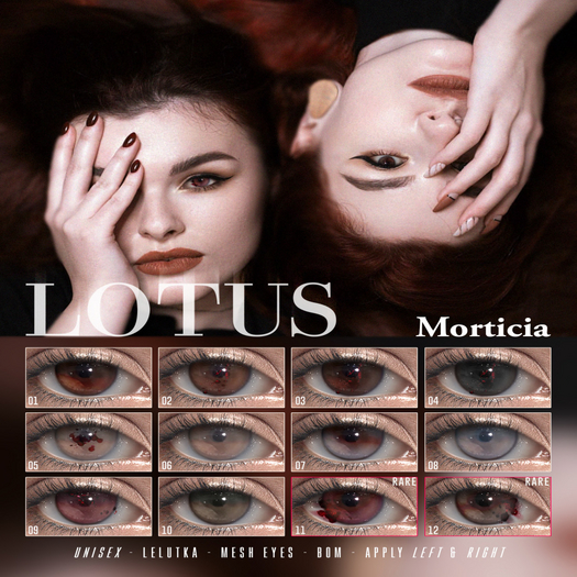 12. LOTUS. Morticia Eyes  [boxed] RARE