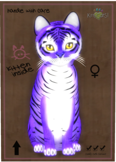 KittyCatS Box - Tiger! - Lavender